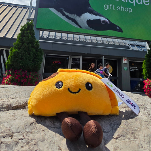 Mild Patty Plush